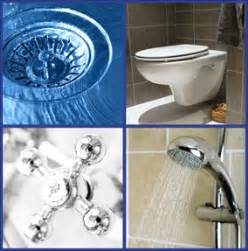 Toilets & Kitchen Drains